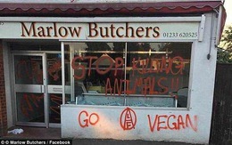 Những người ăn chay khủng bố cửa hàng bán thịt