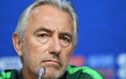 HLV Bert van Marwijk chia tay tuyển Úc