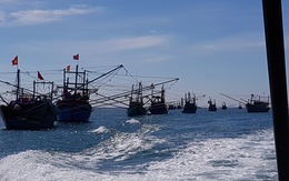 2.000 du khách kẹt ở đảo Lý Sơn, 1.100 tàu cá còn ngoài biển