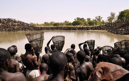 Độc đáo lễ hội bắt cá ở Mali ở Châu Phi