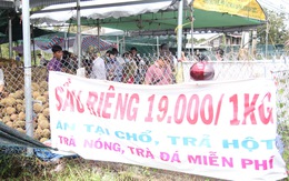 Ùn ùn đi ăn sầu riêng 'siêu rẻ', chỉ 19.000 đồng/kg