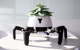 Robot trồng cây có thể tự di chuyển về phía ánh sáng