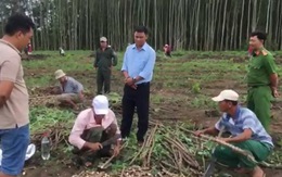 Hàng trăm người chiếm đất lâm trường, Bà Rịa - Vũng Tàu họp khẩn