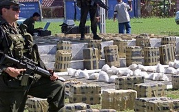 Colombia: Buôn bán ma túy lên tới gần 5,5 tỷ USD mỗi năm