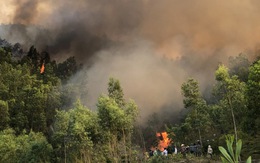 Dập tắt cháy rừng thông ở Thanh Hóa, gần 10ha rừng bị thiêu rụi