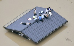 Cuộc đại di tản ở Nhật vì mưa khủng khiếp