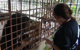 Người dân tặng 5 con gấu ngựa cho Tổ chức Động vật châu Á