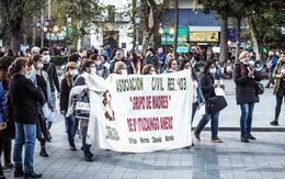 Chất diệt cỏ glyphosate gây ung thư: Khi các bà nội trợ Argentina đi kiện