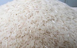 Phao tin 'gạo cao su' ở Cà Mau bị xử phạt 10 triệu đồng