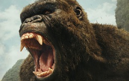 Đề cử sự kiện văn hóa tiêu biểu: 'Kong' gây tranh cãi