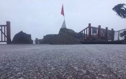 Mưa tuyết bao phủ đỉnh Fansipan