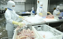 Việt Nam khiếu nại WTO về việc Mỹ áp thuế cá phi lê