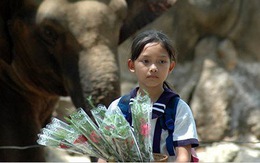 'Cú và chim se sẻ' - chuyện cổ tích hiện đại giữa Sài Gòn