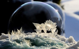 Mê mẩn những quả bong bóng xà phòng đóng băng