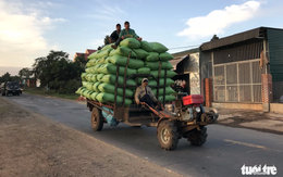 Cảnh sát huyện yêu cầu chủ máy cày 'nộp phạt' định kỳ?