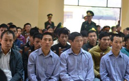Tòa quân sự xét xử 21 người phá rừng pơ mu ở Quảng Nam
