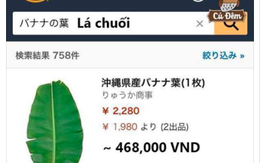 Du học sinh nói gì về lá chuối 500.000 đồng trên Amazon Nhật?