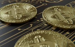 Chuyên gia Wall Street dự báo: Bitcoin sẽ xuống còn 1.000 USD