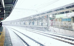Du học sinh tại Nhật trải qua đợt giá lạnh lịch sử