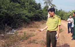 Kiến nghị xây thêm 20km hàng rào điện bảo vệ voi rừng