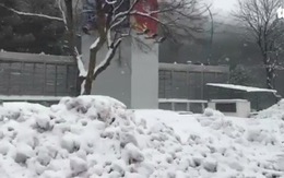 Video tuyết rơi dày đặc ở Thường Châu