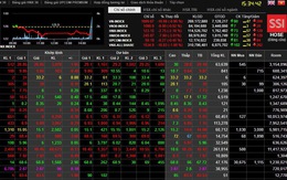 Sắc đỏ bao phủ sàn chứng khoán, Vn Index mất mốc 1.100 điểm