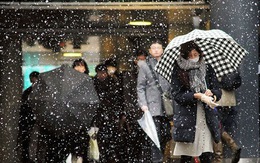 Tuyết dày đặc, nhiều trường học Nhật hoãn kỳ thi đầu vào