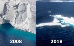 #10yearschallenge: Thiên nhiên đã mất đi thế nào trong 10 năm qua?