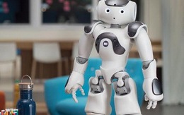 Nhật Bản thử nghiệm robot hỗ trợ người dân ở tòa thị chính