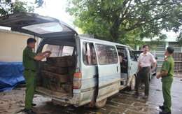 Ôtô dùng biển số giả chở gỗ, thấy công an tài xế vứt xe bỏ trốn