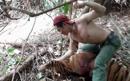 Thái Lan bắt  2 người Việt nghi săn trộm hổ quý