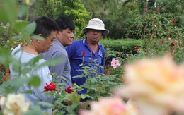 Thăng trầm làng hoa Sa Đéc - Kỳ 3: Chuyện về vườn hồng Tư Tôn