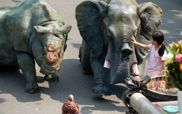 Tê giác, voi quỳ 'kêu cứu' ở sân chùa Vĩnh Nghiêm, Minh Đăng Quang