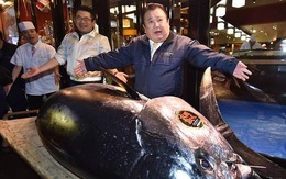 Con cá ngừ gần 300kg giá hơn 3 triệu đôla