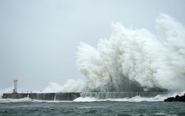 Video siêu bão Hagibis tàn phá Nhật Bản