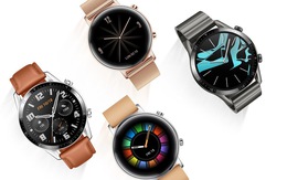 Hợp tác cùng TGDĐ, Huawei lần đầu đưa smartwatch về Việt Nam