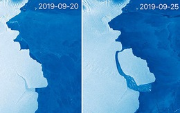 Cuộc phiêu lưu của tảng băng 315 tỉ tấn