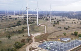 Thành phố Sydney cam kết sử dụng 100% nguồn năng lượng tái tạo