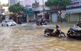 Nam Bộ dưới mực nước biển: 'chung sống với nước' thay vì ngăn dòng nước