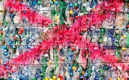 Trung Quốc, Đông Nam Á từ chối nhập rác nhựa, phương Tây lao đao