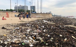 10 cây số rác, thân cây và nhựa 'tấn công' bãi biển Vũng Tàu