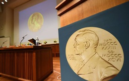 Nobel kinh tế 2022 trao chiều nay: Quá nhiều ứng viên sáng giá