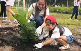 Cha mẹ làm gì và không nên làm gì để con yêu khoa học?