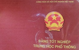Trưởng Phòng cảnh sát kinh tế Công an Lai Châu dùng bằng giả