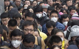 Trung Quốc bác lo ngại bùng nổ dịch hạch gây chết người