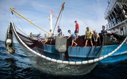 Việt Nam cần quyết liệt chống khai thác thủy sản trái phép để gỡ 'thẻ vàng'