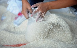 Tổng thống Philippines ra lệnh ngừng nhập khẩu gạo