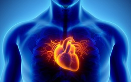 Tiên đoán khả năng nhồi máu cơ tim qua ảnh chụp tim