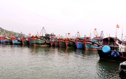 700 tàu cá xa bờ các tỉnh về trú cảng Hòn Rớ trước bão số 6