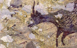 44 ngàn năm trước, con người đã biết lập biên bản đi săn?